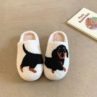 Dachshund