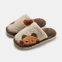 Tea Brown Tabby